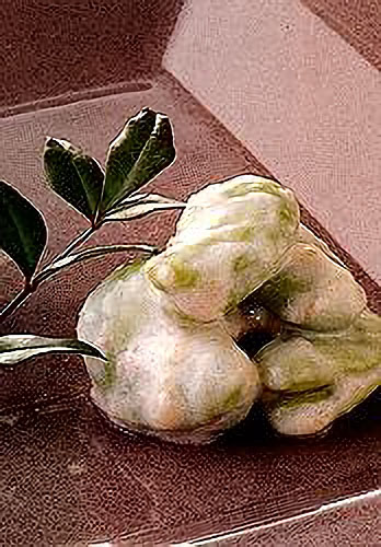 そら豆の梅肉ヨーグルト和え