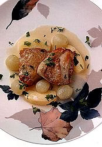 鶏肉のヨーグルト煮込み